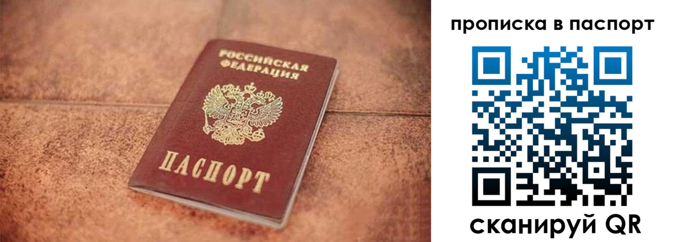 прописка для работы в Светлогорске